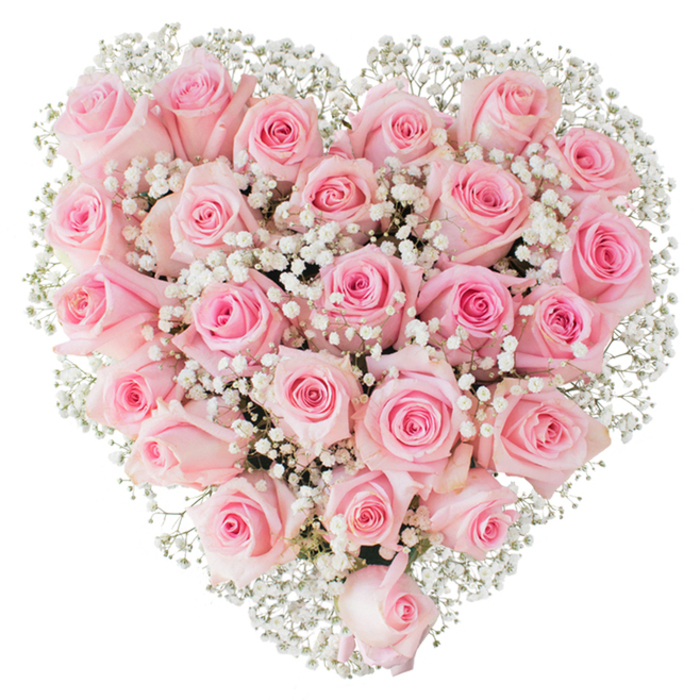A lavish heart-shaped bouquet, meticulously formed from dozens of soft pink roses and softened by a halo of tiny white gypsophila, sits centered against a stark white field that highlights its romantic geometry. Each rose varies slightly in hue - pale blushskins at the periphery, richer pinks nearer to the centers - and shows a natural variety of opening: some are still tight and satiny, others relaxed and petal-rich, giving the heart a living depth. Between these roses, baby's breath acts like delicate embroidery, its miniature blossoms catching the studio light and creating a delicate contrast that sharpens the heart's outline while preserving an overall sense of airiness. The arrangement communicates tenderness and solemn beauty at once, conjuring the soft perfume of roses and the smooth, cool feel of layered petals when held. Crafted with deliberate placement, the symmetry is refined without being mechanical: a practiced hand arranged each stem to maintain fullness and curvature. In Friern Barnet terms, I picture this design made by Florist Friern Barnet near Colney Hatch Lane, destined for anniversaries, wedding celebrations, or a thoughtful tribute - a floral message that reads plainly as love, solace, and reverence, delivered with the sort of care we take for moments that matter most.
