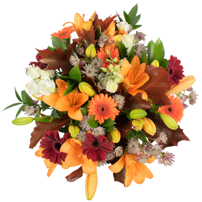 A richly textured, slightly elevated view of a hand-crafted autumn bouquet, arranged to celebrate the season's colour and warmth - a composition you might spot on a countertop at Friary Park's café or warming a mantel on Friern Barnet Road. At the visual heart are multiple orange Asiatic lilies, fully unfurled with smooth, satiny petals and elegant, open throats; around them, many compact green and pale-orange lily buds suggest a bouquet that will continue to evolve. Bright orange Gerberas and contrasting deep burgundy-red Gerbera daisies form cheerful punctuation points, their circular petal faces reminiscent of late-afternoon sunbursts. Creamy white Lisianthus blooms, with soft ruffled edges, tuck into crevices between the bolder flowers to lend respite and ivory highlights, while clusters of muted-purple Astrantia impart delicate, star-shaped texture and a whisper-light quality. Large, lobed leaves in deep reddish-brown and maroon are woven through the design like collected fallen leaves from nearby streets and parks, their lobes and veining adding architectural interest and seasonal authenticity. Fresh green foliage and slim stems underpin the arrangement, creating depth and a natural frame that keeps the composition lively rather than heavy. Against a pristine white background and bright, even lighting, the bouquet's autumn palette pops with clarity - the oranges glow, the burgundies deepen, and the purples soften. This bouquet - a Florist Friern Barnet signature concept - reads as comfort and celebration combined: ideal for harvest tables, a housewarming in New Southgate, or as an autumnal token sent to friends across the neighbourhood who appreciate floral craftsmanship and seasonal storytelling.