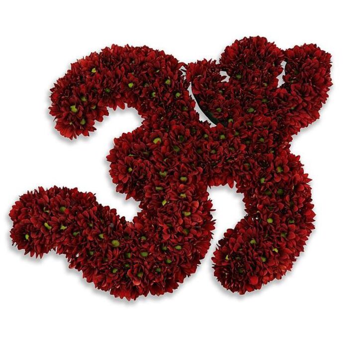 A striking sculptural number 33 is rendered entirely from a plush mass of small, dark red button chrysanthemums or similar multi-petaled flowers, each bloom densely packed so the two digits read as solid, velvety forms. The crimson petals are deep and warm-nearing garnet-while the tiny, bright green centers provide a crisp, fresh contrast that enlivens the surface and gives an almost beaded texture when viewed closely. Soft, balanced lighting keeps the white background immaculate, and a gentle gray shadow beneath the numerals suggests a slight elevation, creating the illusion that the digits are floating just above the plane. The flowers' overlapping petals create delicate highlights and subtle shadowing along the curves, emphasizing the skilled placement that maintains both shape and fullness.
Emotionally the composition balances ceremony with intimacy: the colour and density feel celebratory enough for a 33rd birthday or anniversary yet composed enough for a commemorative tableau. One can almost sense the faint, earthy aroma of chrysanthemums carried on still air, a scent that calms and steadies. As a Friern Barnet floral creation-visually at home near Colney Hatch Lane or sent to a gathering in the Tally Ho area-this number would read clearly across a room, offering a tactile, handcrafted focal point. The meticulous craftsmanship and the considered palette announce a thoughtful tribute designed to mark a meaningful milestone or remembrance in the local community.